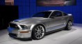 /album/photo-gallery-photogallery/mustang-gt500-kr-3230-jpg/